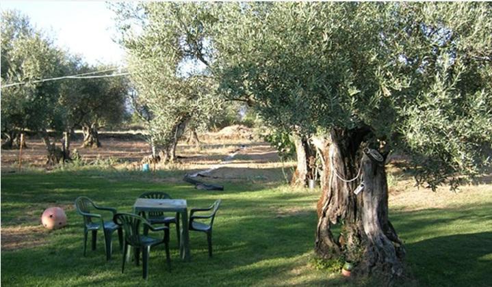 Hotel Rural Hojaranzos Tejeda de Tiétar Restaurant foto